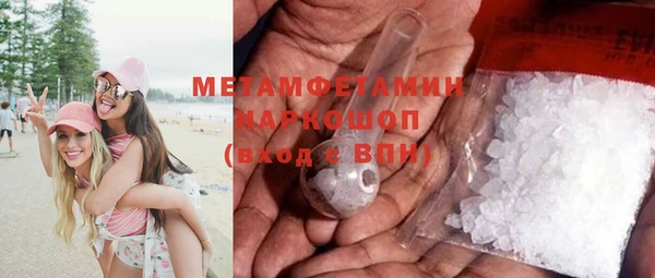 шишки Заволжье