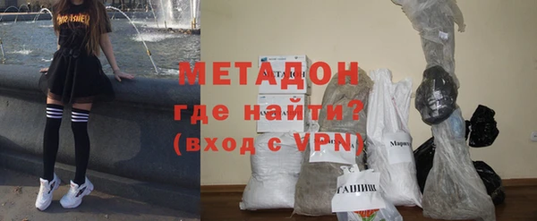 шишки Заволжье
