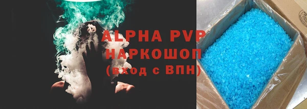 шишки Заволжье