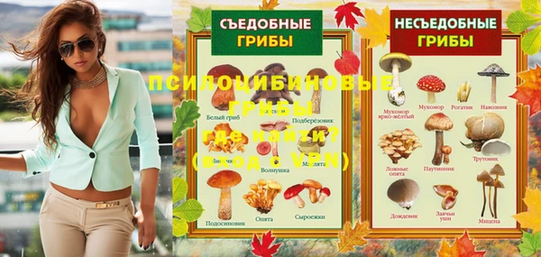шишки Заволжье
