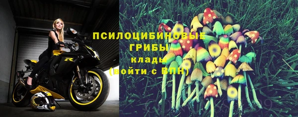 дмт Зерноград
