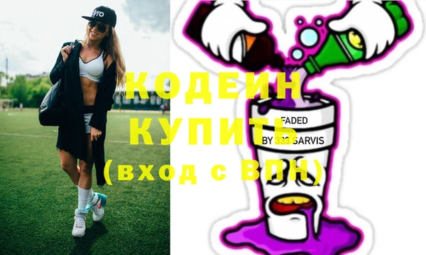 шишки Заволжье