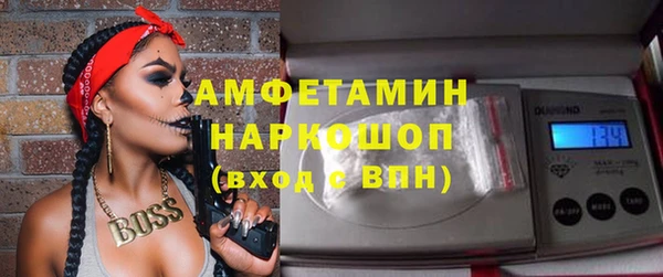 шишки Заволжье