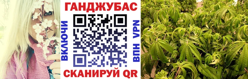 Конопля планчик  Старица 